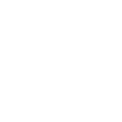 BethanySchool_Logo_White_P